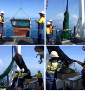 RetreavingASledOntheSoander